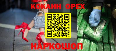амф Кингисепп