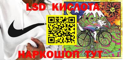 амф Кингисепп