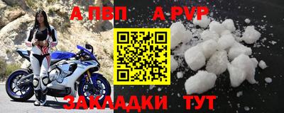 амф Кингисепп