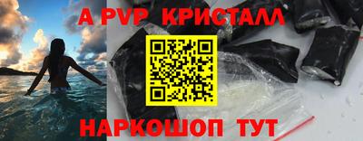 амф Кингисепп